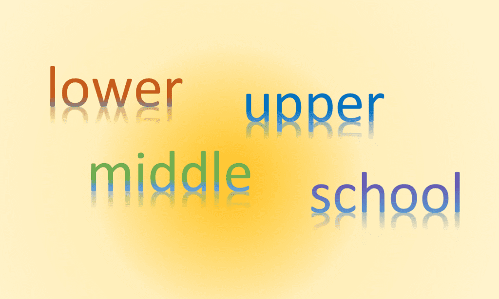 Examples of good practice in the language classroom