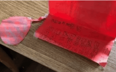 digital Waldorf – cooperative, creative, collegial