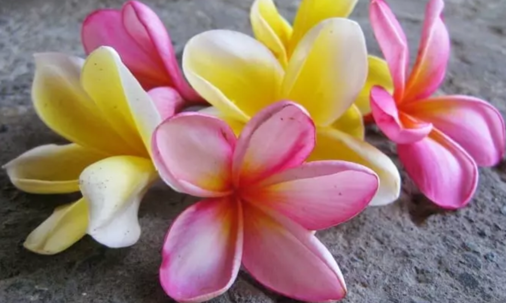 Achtsamkeit als Entspannung im Alltag