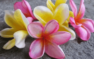 Achtsamkeit als Entspannung im Alltag