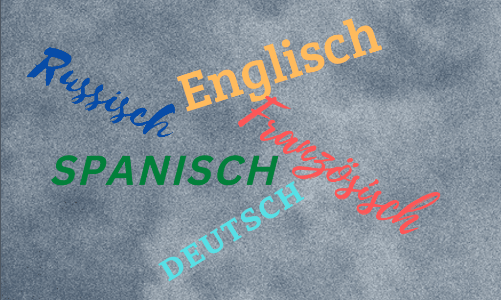 Online-Studiengruppe Sprachlehrer:innen